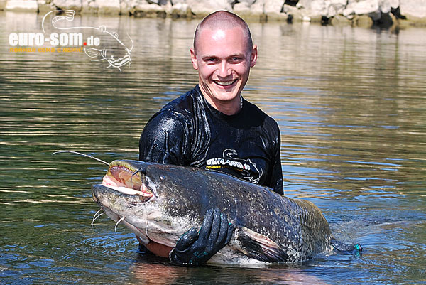  трофейный сом