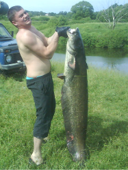 Аватара пользователя