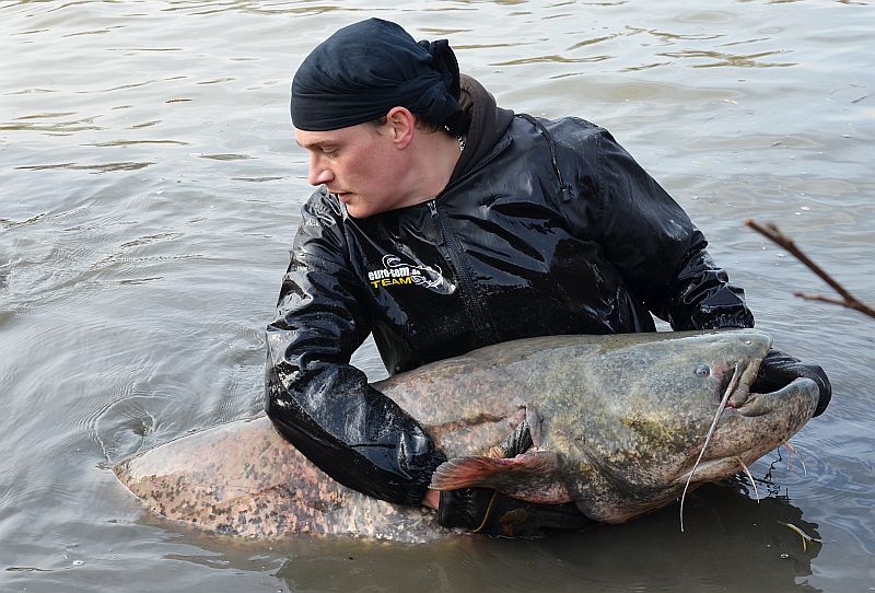 современная ловля сома