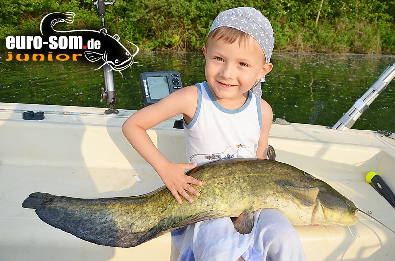 Сом Ребёнок поймал сома